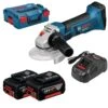 Bosch GWS 18-125 V-LI 18V Li-Ion Accu Haakse Slijper Set (2x 5.0Ah Accu) In L-Boxx - 125mm - 060193A30L -Bosch 0664badba202615ffdff6afe12e4db2a