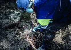 Bosch 2608900406 EXPERT Reciprozaagblad S1242KHM Tough Wood -Bosch ee503f03a936b552ddf2e3a3d40ae0b2